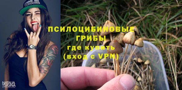 твердый Алексин