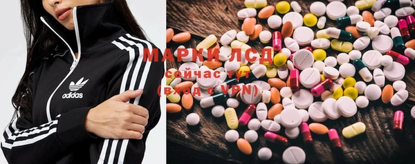 PSILOCYBIN Алзамай