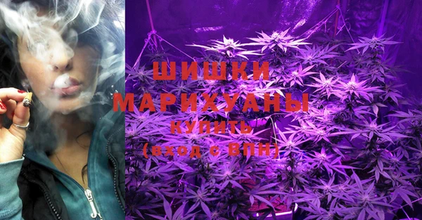 PSILOCYBIN Алзамай