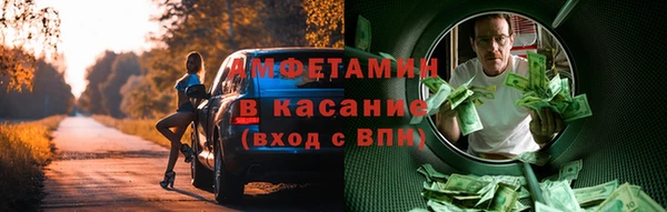 PSILOCYBIN Алзамай