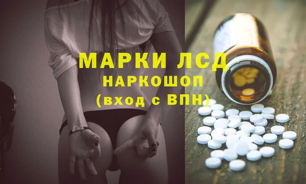 PSILOCYBIN Алзамай