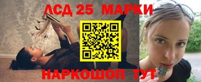 шишки Моздок