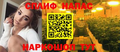 шишки Моздок