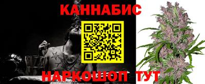 шишки Моздок