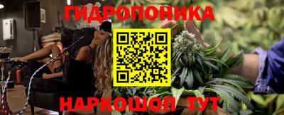 шишки Моздок