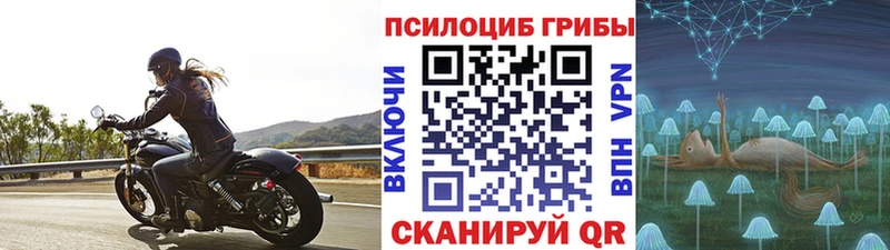 где купить   Десногорск  Псилоцибиновые грибы мицелий 
