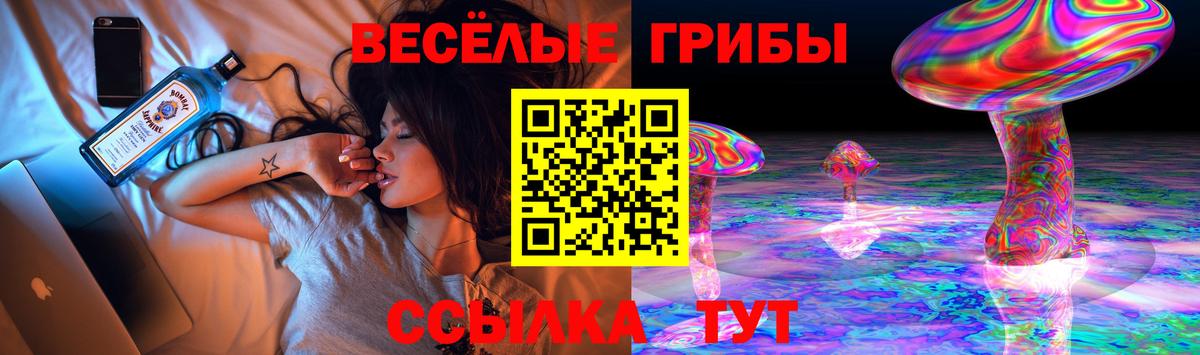 Десногорск  Галлюциногенные грибы прущие грибы  Вход с VPN  Галлюциногенные грибы Psilocybine cubensis 